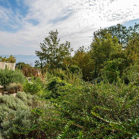 Villa Luce Labin  Buitenkant foto